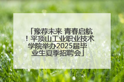 豫荐未来 青春启航！平顶山工业职业技术学院举办2025届毕业生夏季招聘会